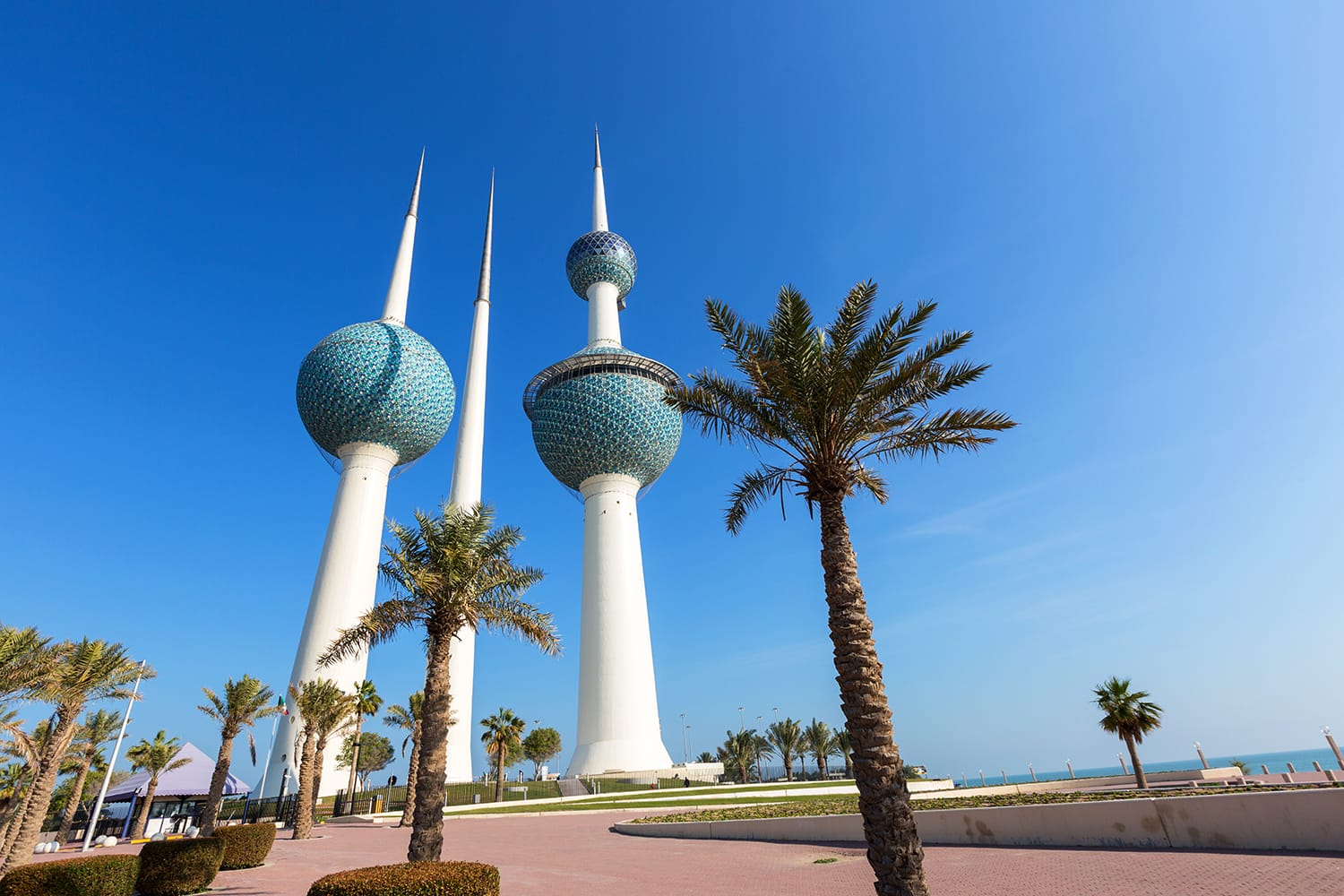 أبراج الكويت وأشجار النخيل